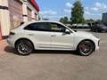 Porsche Macan MACAN S RHD RECHTSLENKER, NEUWAGEN, MY 2023 Grijs - thumbnail 9