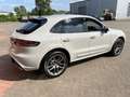 Porsche Macan MACAN S RHD RECHTSLENKER, NEUWAGEN, MY 2023 Grijs - thumbnail 11