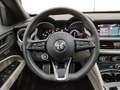 Alfa Romeo Stelvio 2.2 Turbodiesel 210 CV AT8 Q4 Veloce Bleu - thumbnail 12