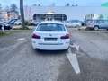 BMW 530 Baureihe 5 Touring 530 d xDrive Weiß - thumbnail 4