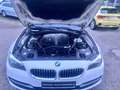 BMW 530 Baureihe 5 Touring 530 d xDrive Weiß - thumbnail 10