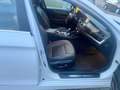 BMW 530 Baureihe 5 Touring 530 d xDrive Weiß - thumbnail 7