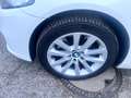 BMW 530 Baureihe 5 Touring 530 d xDrive Weiß - thumbnail 13