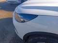 Ford Kuga 2.5 Full Hybrid 180 CV CVT 2WD Active - 67121 Bianco - thumbnail 8