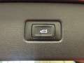 Audi Q7 Q7 3.0 tdi STUPENDA Grijs - thumbnail 14