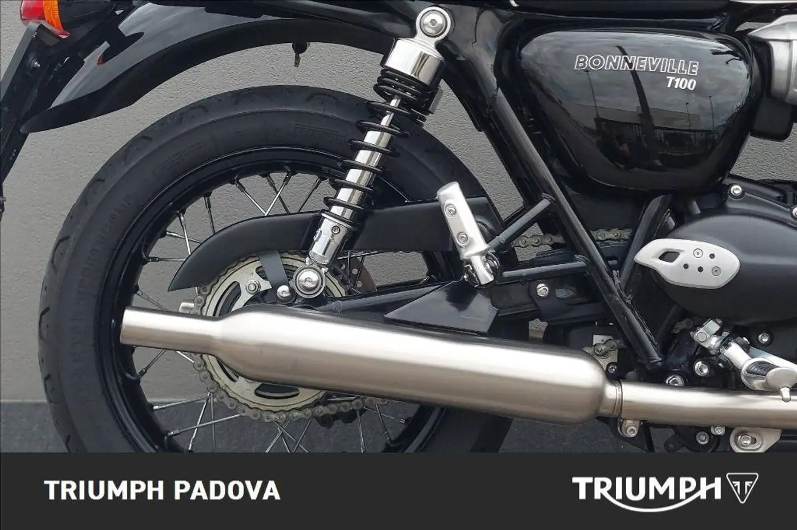 Triumph Bonneville T100 Rouge - 2