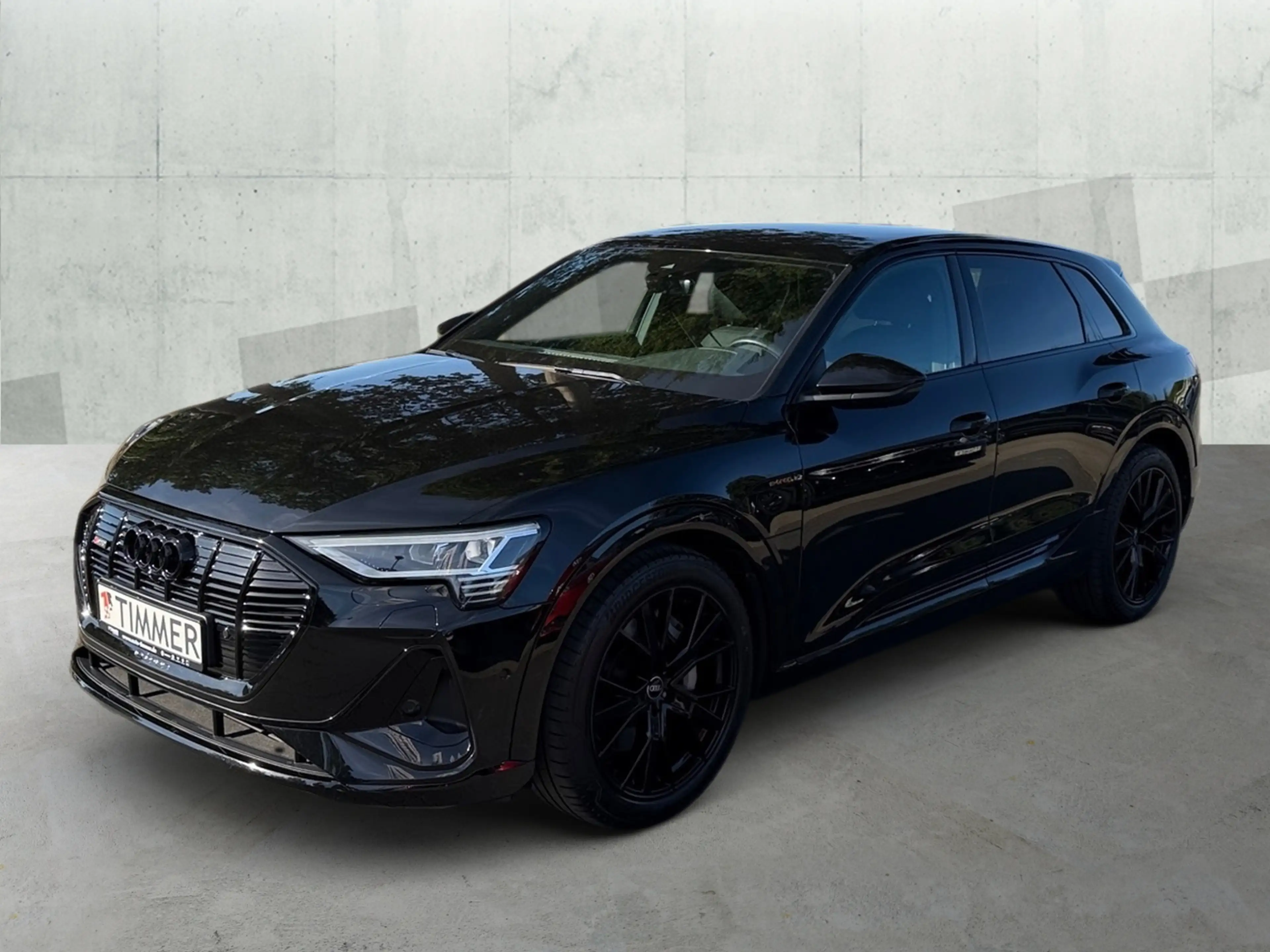 Audi e-tron 55 QUATTRO S-LINE 95 kWh +360° +B&O +LED +VIRTUAL — photo 3