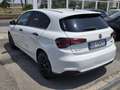 Fiat Tipo 5p 1.4 tjt Easy Gpl 120cv my18 - thumbnail 6