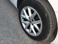 SEAT Leon NUEVO SP 1.0 TSI 81KW SS STYLE XL - thumbnail 14