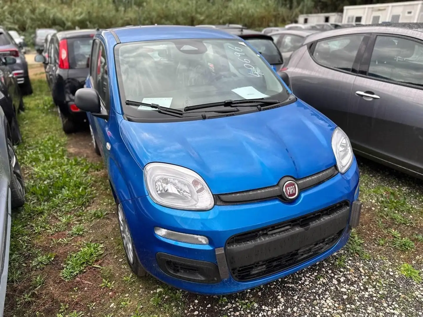 Fiat Panda 1.0 FireFly Hybrid Pop Blau - 2