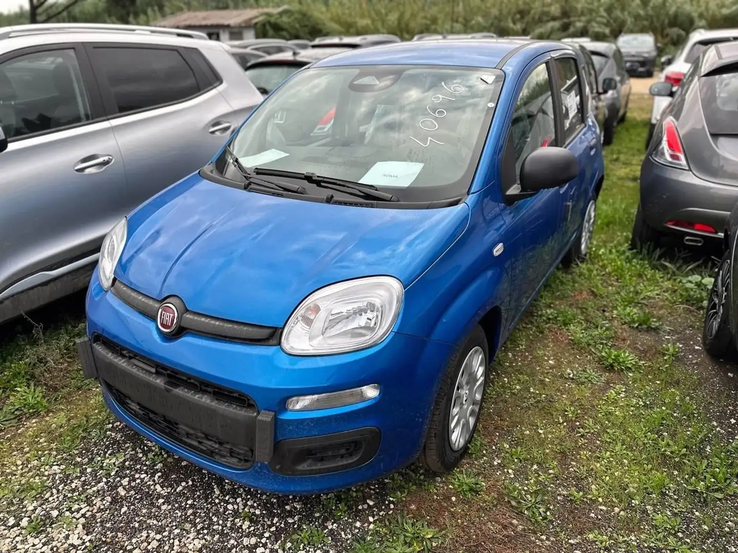 Fiat Panda 1.0 FireFly Hybrid Pop Blau - 1