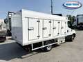 Iveco Daily 35c160 Frigo Surgelati a Piastre Eutettiche Weiß - thumbnail 5