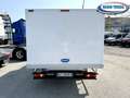 Iveco Daily 35c160 Frigo Surgelati a Piastre Eutettiche Weiß - thumbnail 7