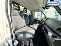 Iveco Daily 35c160 Frigo Surgelati a Piastre Eutettiche Weiß - thumbnail 13