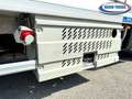 Iveco Daily 35c160 Frigo Surgelati a Piastre Eutettiche Weiß - thumbnail 9