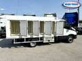 Iveco Daily 35c160 Frigo Surgelati a Piastre Eutettiche Weiß - thumbnail 4