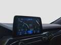 Ford Kuga 2.5 PHEV ST-Line | Winter Pack | Camera | Cruise C Gris - thumbnail 21