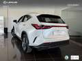 Lexus NX 450h+ Premium+ 4WD Wit - thumbnail 14