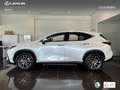 Lexus NX 450h+ Premium+ 4WD Wit - thumbnail 13