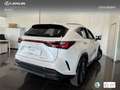 Lexus NX 450h+ Premium+ 4WD Wit - thumbnail 2