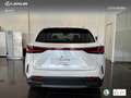 Lexus NX 450h+ Premium+ 4WD Wit - thumbnail 5