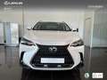 Lexus NX 450h+ Premium+ 4WD Wit - thumbnail 4