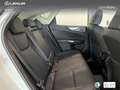 Lexus NX 450h+ Premium+ 4WD Wit - thumbnail 7