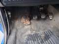 Fiat Panda Panda 1.1 Trekking 4x4 Blau - thumbnail 12