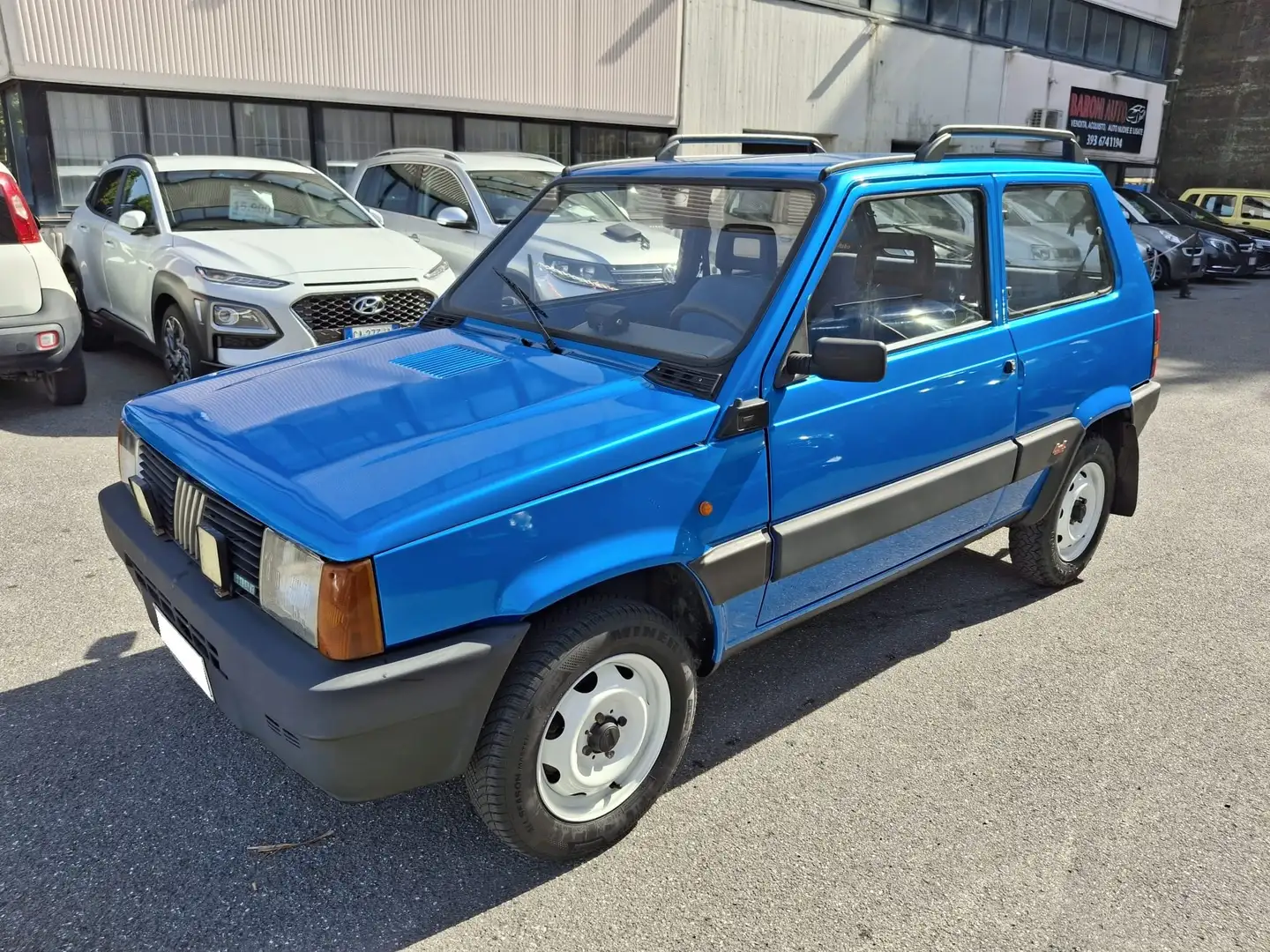 Fiat Panda Panda 1.1 Trekking 4x4 Blau - 1