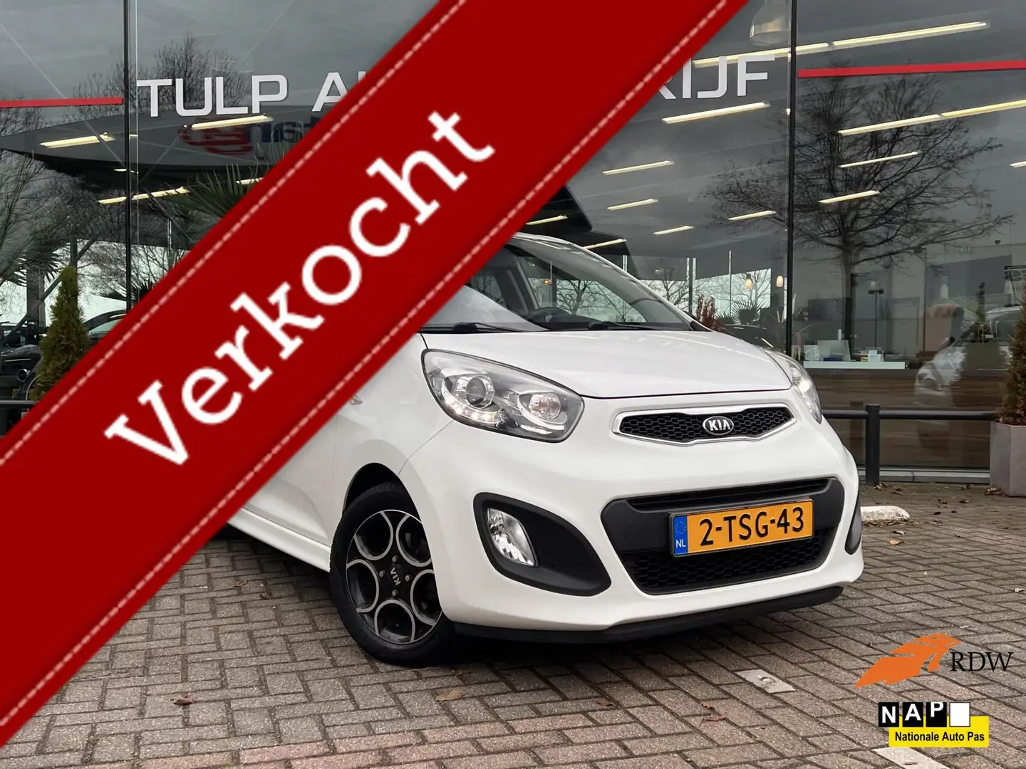 Kia Picanto 1.2 CVVT World Cup Ed. 5 Deurs Airco LMV NAP Blanc - 1
