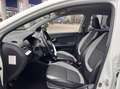 Kia Picanto 1.2 CVVT World Cup Ed. 5 Deurs Airco LMV NAP Blanc - thumbnail 3