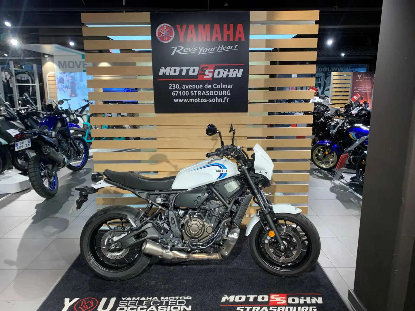 Yamaha XSR 700 Bílá - 1