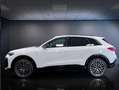 Audi Q5 Q5 TDI 150 kW mHEV+ S tronic quattro S line editi - thumbnail 8
