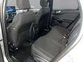 Ford Kuga 1,5 EcoBoost Titanium Silber - thumbnail 10