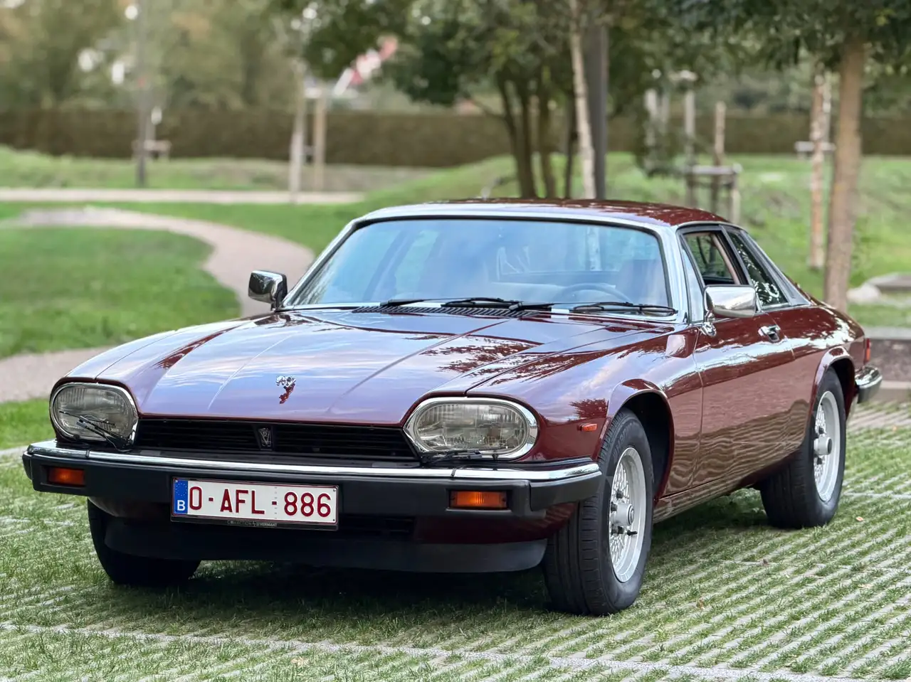 Jaguar XJS V12, foto 2