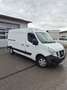 Nissan NV400 NV400 L2H2 3,5t 2,3 dCi135 Comfort Comfort Weiß - thumbnail 1