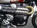 Triumph Scrambler 1200 XC GOLDLINE EDITION Rood - thumbnail 6