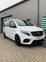 Mercedes-Benz V 250 d Avantgarde Edition 4MATIC Blanc - thumbnail 1