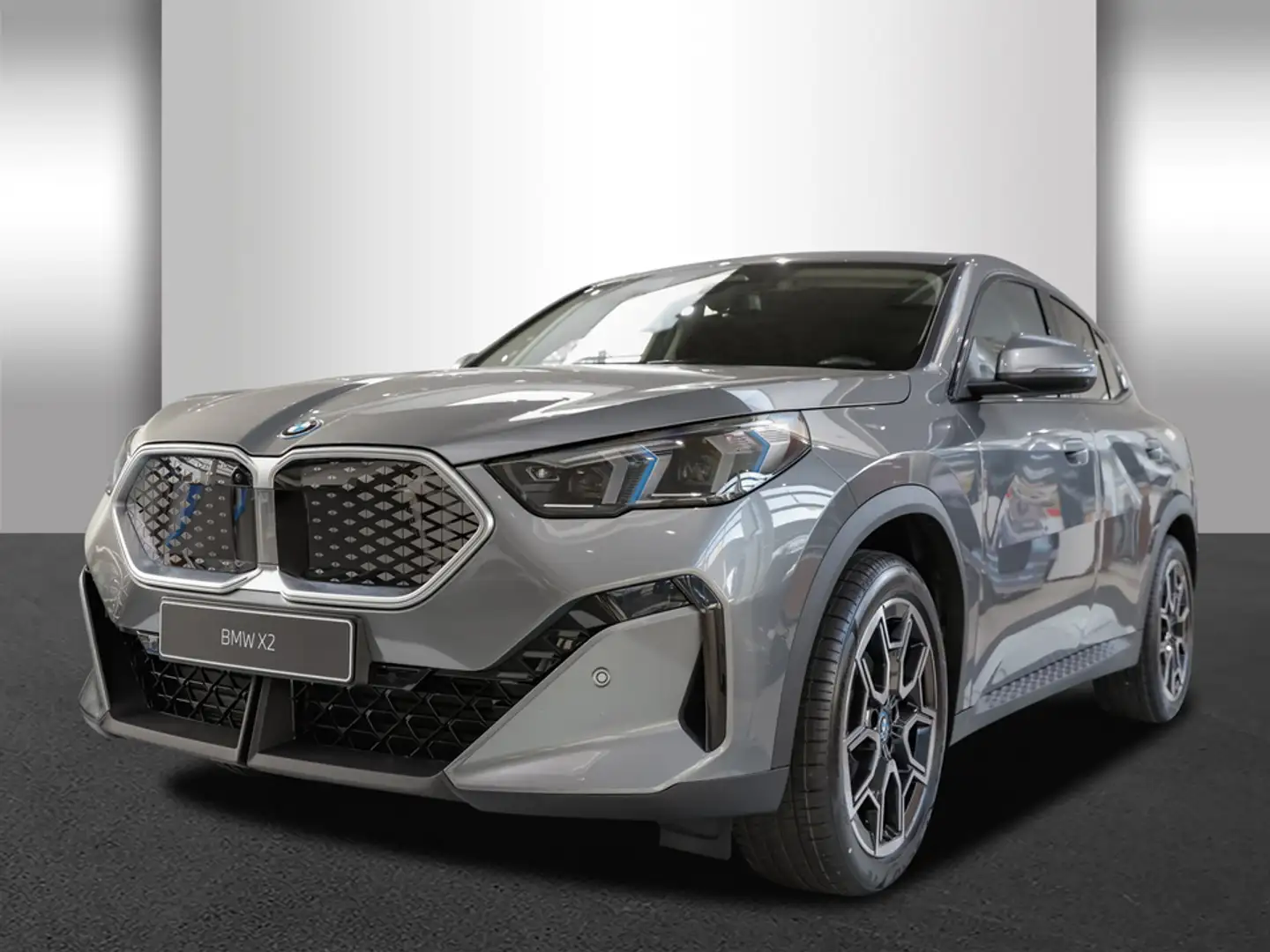 BMW iX2 ix2 eDrive20 Navi Tempom.aktiv Bluetooth PDC HeadU Gri - 2