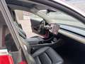 Tesla Model 3 Standard Range RWD Plus Rojo - thumbnail 13