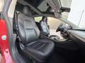 Tesla Model 3 Standard Range RWD Plus Rojo - thumbnail 15