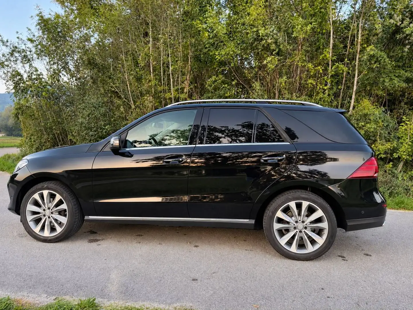 Mercedes-Benz GLE 350 GLE 350 d 4Matic (166.024) Schwarz - 2