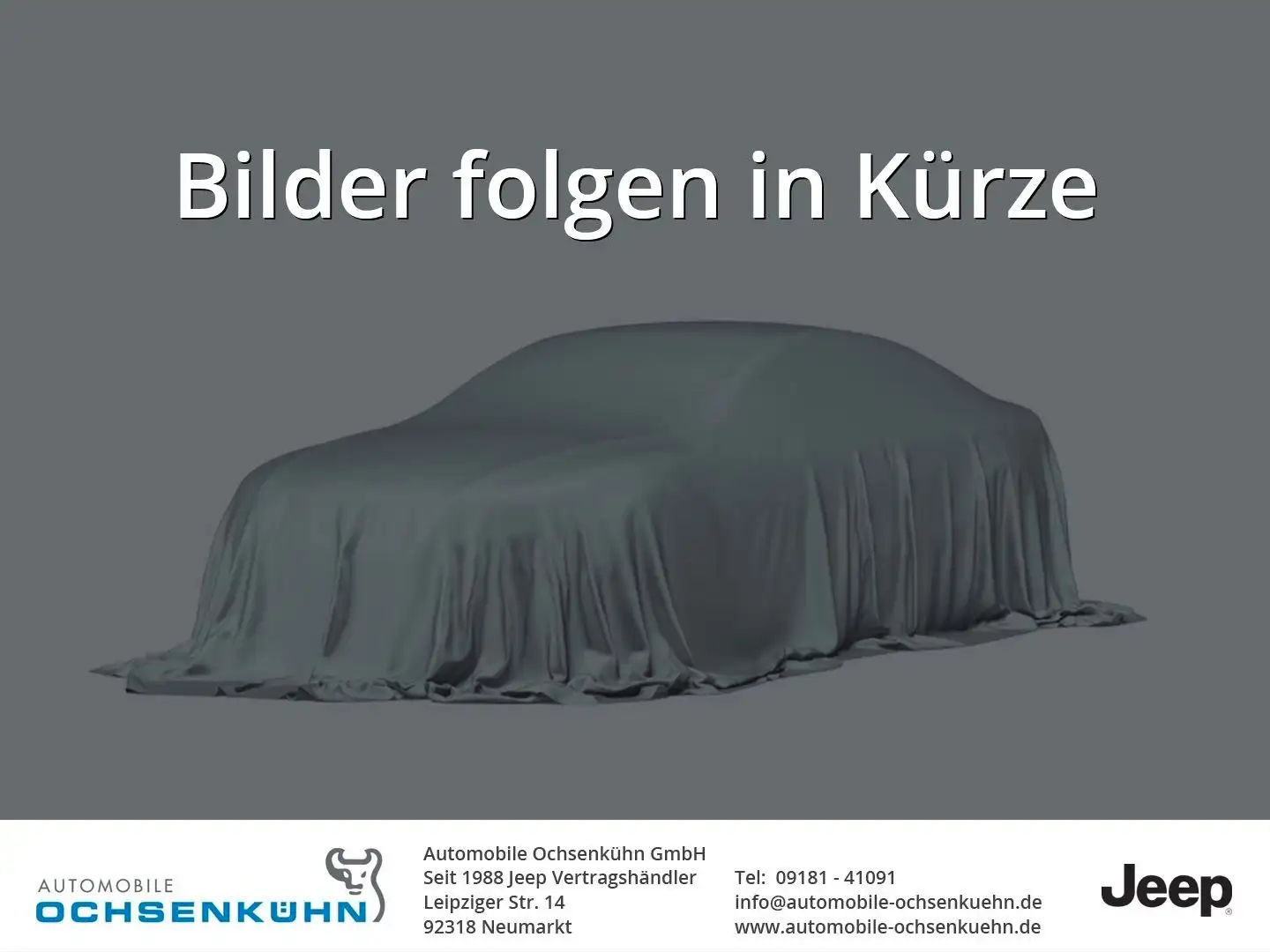 Jeep Wrangler 2.0 Unlimited BRUTE / El. Sky One Dach Schwarz - 1