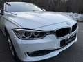 BMW 318 Serie 3 F31 Touring 318d Touring Business auto Blanc - thumbnail 5