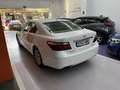 Lexus LS 460 Executive Aut. Weiß - thumbnail 7
