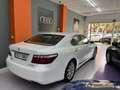 Lexus LS 460 Executive Aut. Weiß - thumbnail 14