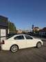Skoda Octavia Elegance Weiß - thumbnail 11