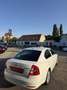 Skoda Octavia Elegance Weiß - thumbnail 8