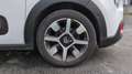 Citroen C3 1.5 BlueHDi 100 Shine Business Blanc - thumbnail 17
