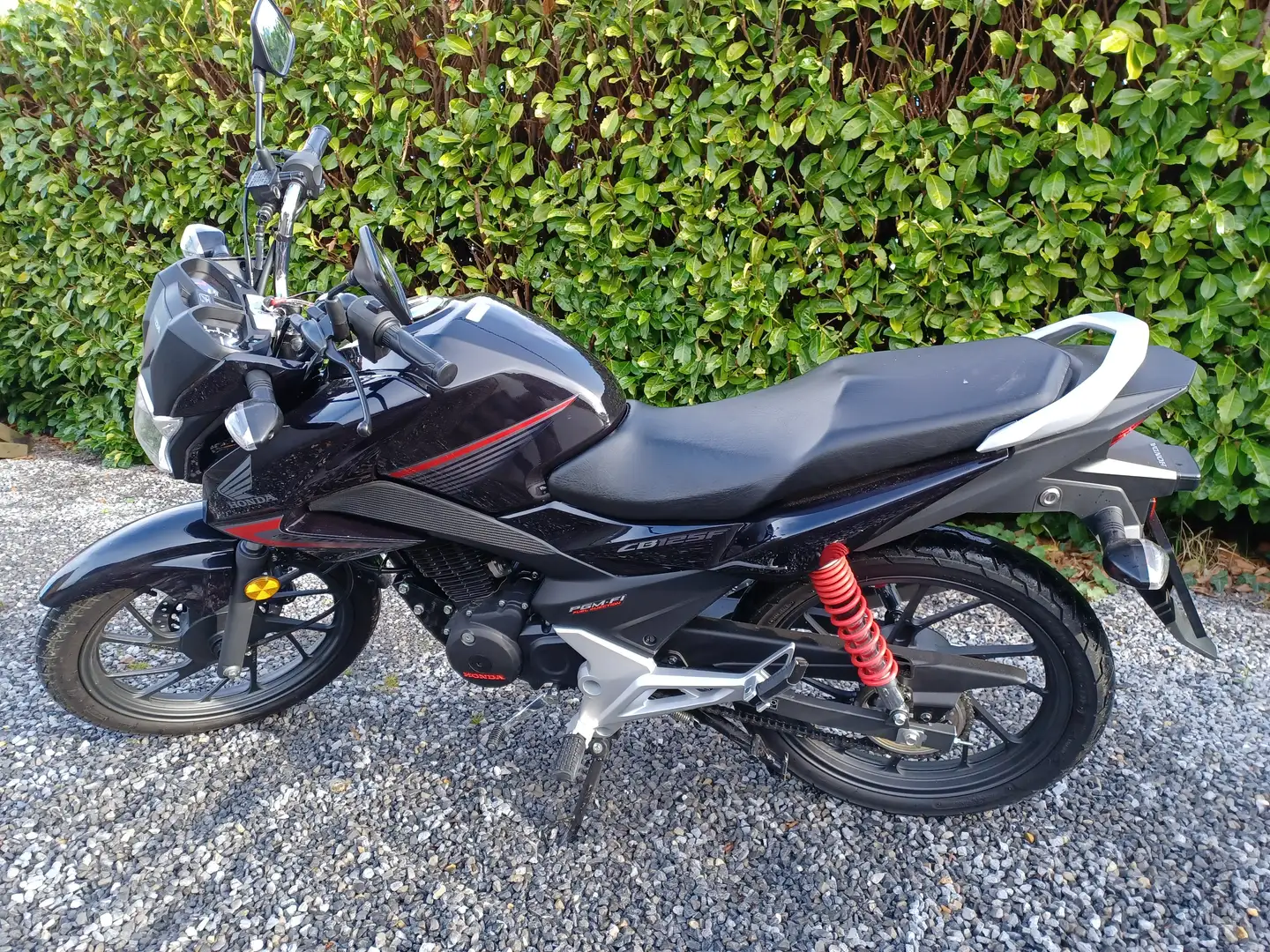 Honda CBF 125 Negro - 1